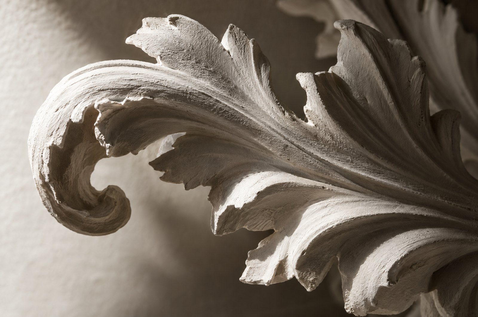 Ornamental plaster relief detail after repair and paint removal